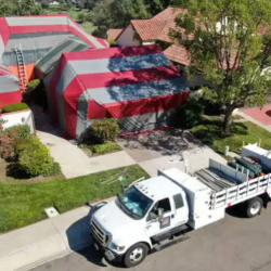 Termite Control