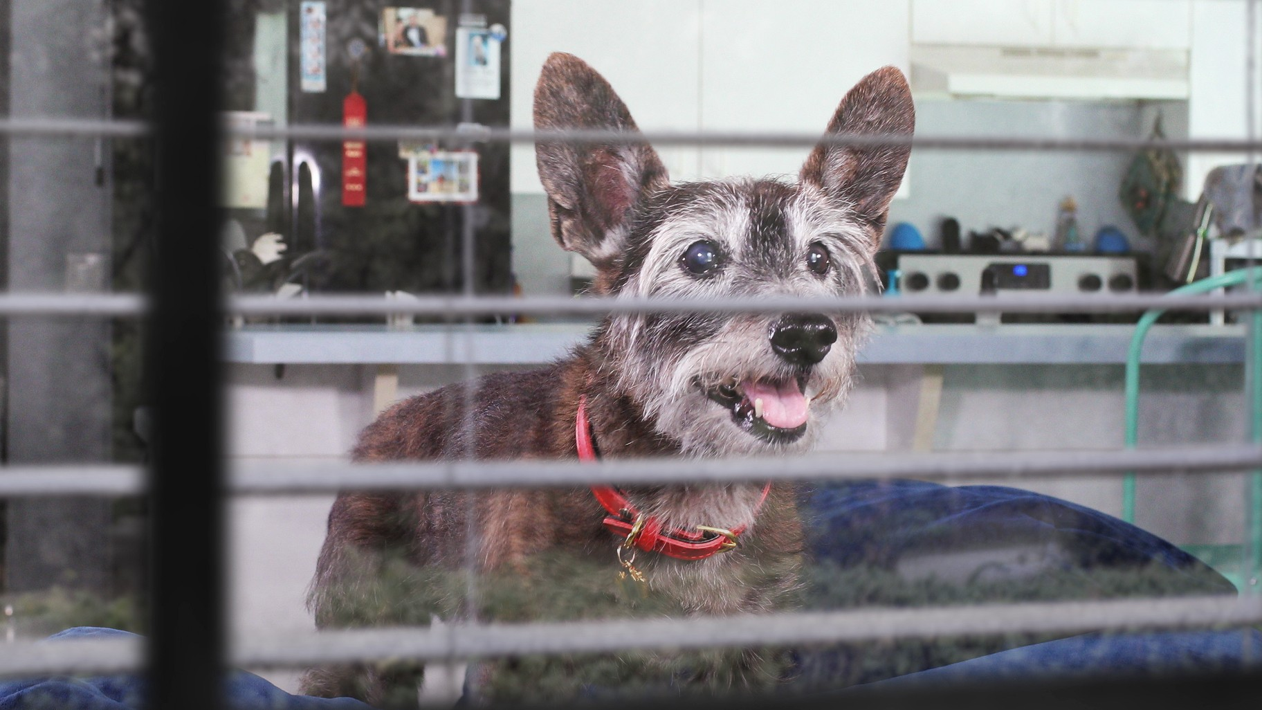 Short & Feature Films