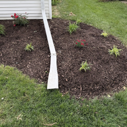 Installation of Plants, Shrubs & Trees