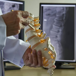 Digital X-Rays