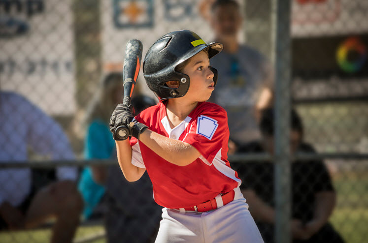 Batting Cage Rentals