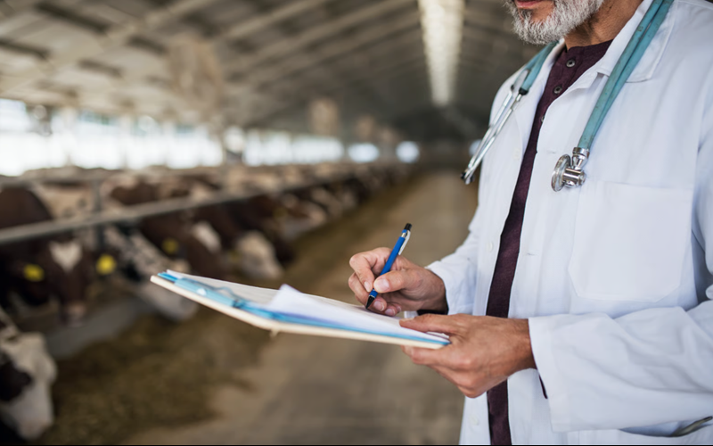 Feedstock for Medical Supplies