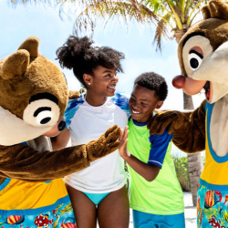 Disney & Theme Parks
