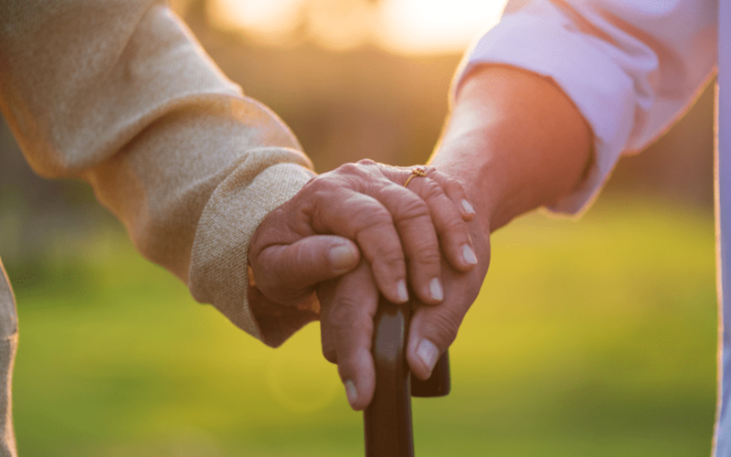 Companionship & Socialization