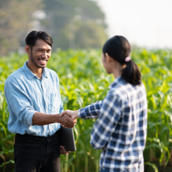 USDA Loan