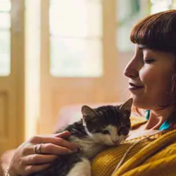 Personal Loans
