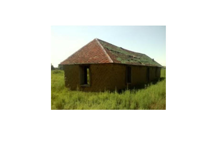 Ranch Surveys
