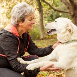 Senior Animal Program