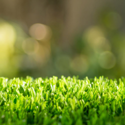 Artificial Grass Protection Film