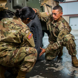 Army Reserve
