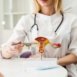 Gynecology