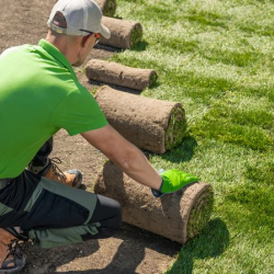 Landscaping