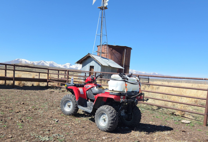 Treating Noxious / Invasive Weeds