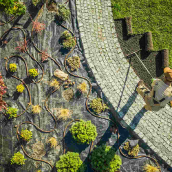 Seasonal Cleanups