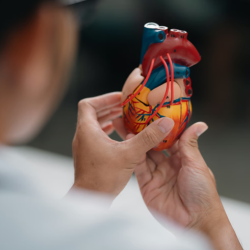 Cardiac Implants