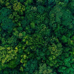 Climate Action
