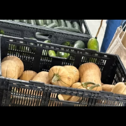 Farmers Market