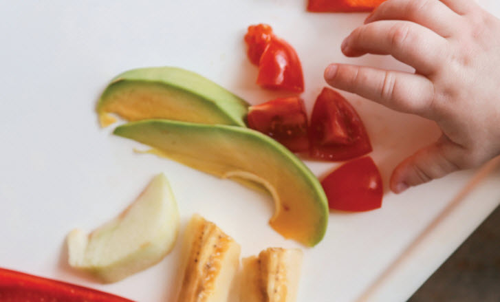 Food Establishments & Food Safety