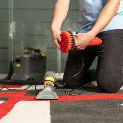 Carpet and Upholstery Cleaning