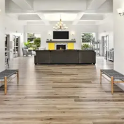 3 Bed Apartment