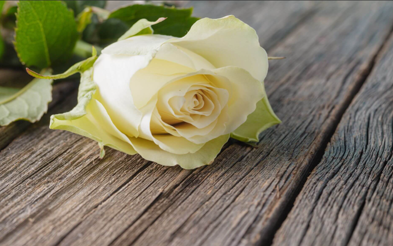 Wrongful Death