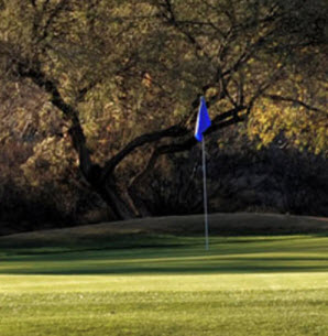 Tee Times