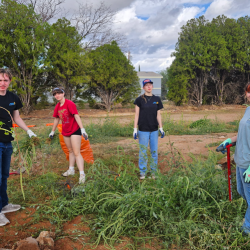 Echoing Hope Aquaponics Garden