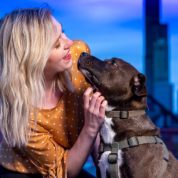 Foster a Dog