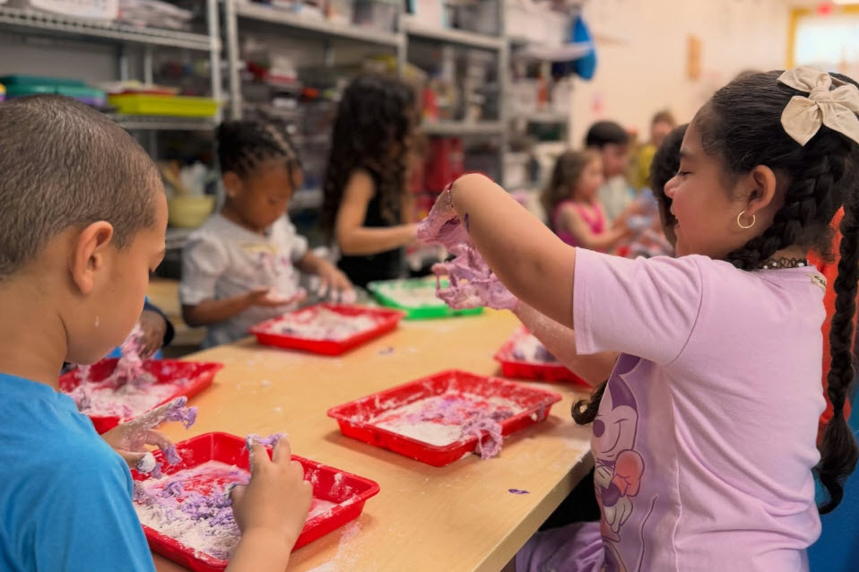 Saturday Skills Workshops