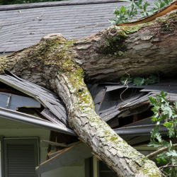 Rapid Roof Repair