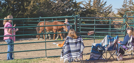Equine-Assisted Experiences