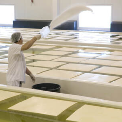 Food & Dairy Processing, Food Science/R&D