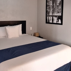Standard Rooms