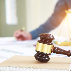 Civil and Criminal Litigation Support