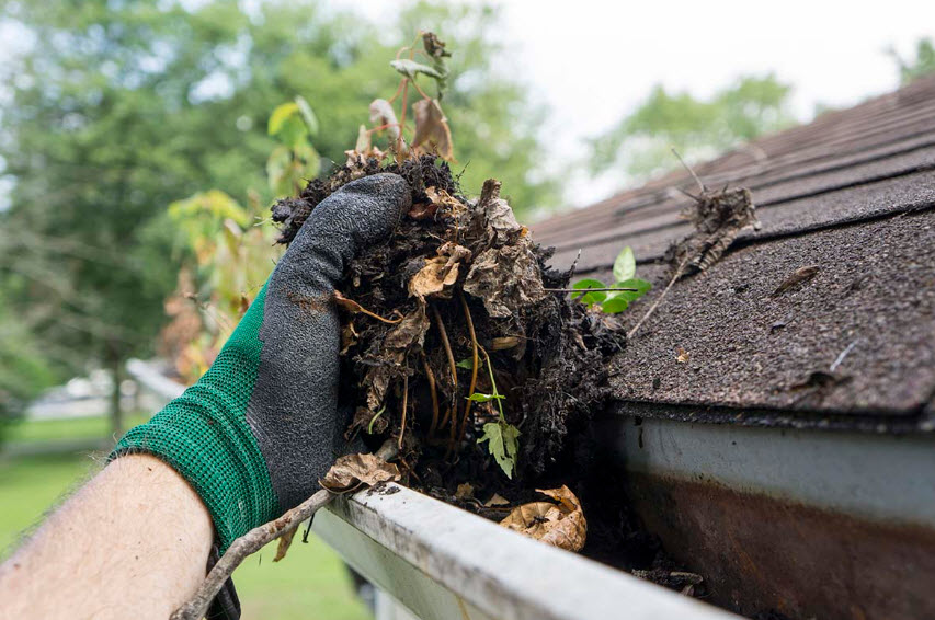 Gutter Cleaning
