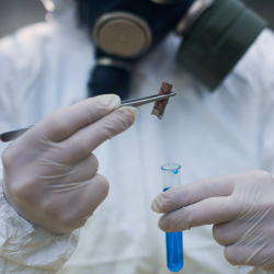 Asbestos Testing