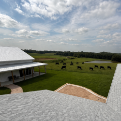 Metal Roofs