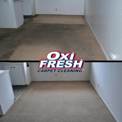 Carpet And Rug Cleaning