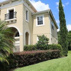 Lawn Care Services