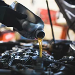 Oil Filters