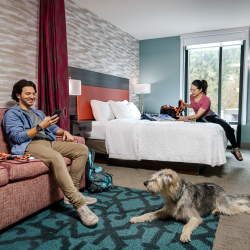 Pet-Friendly Accommodations