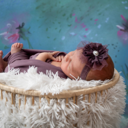 Professional Photography Services