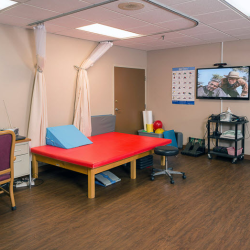 Short-term Rehabilitation