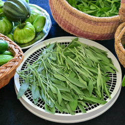 Fresh Farm Produce and Herbal Harvests