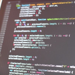 Web Design & Development
