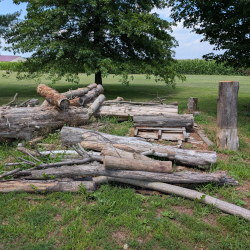 Tree Cleanup