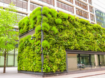 Sustainability + Green Building