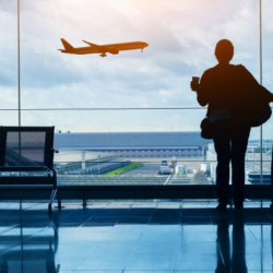 Flights & Car Rentals