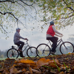 Retirement Planning