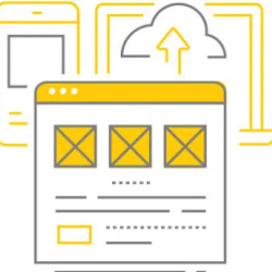 Web Design / Development